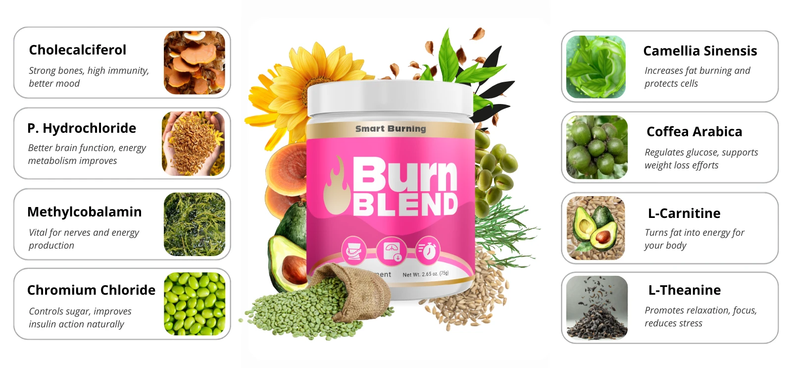 Burn-Blend-Ingredients-List